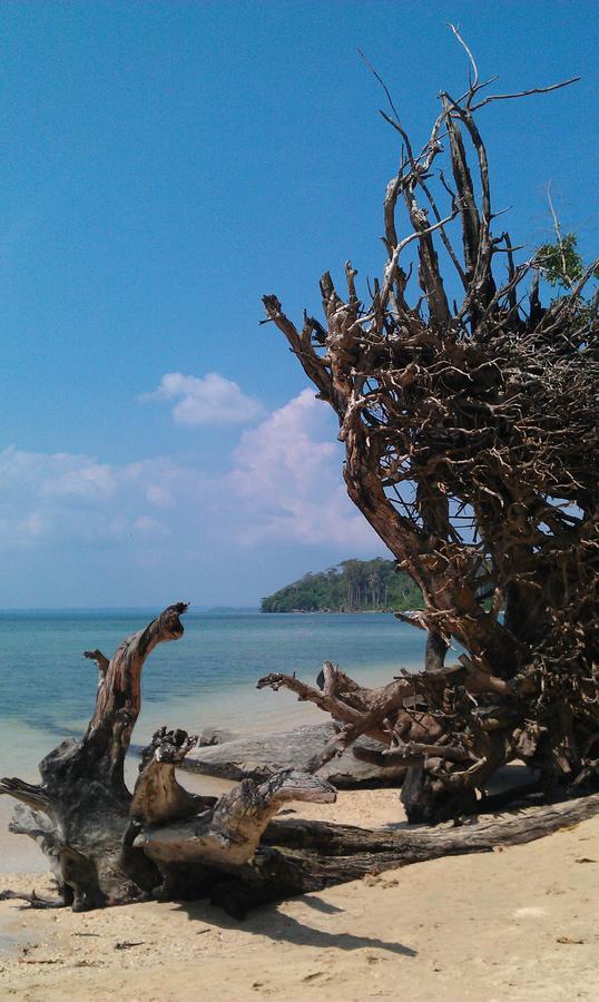 Pellicon Beach Resort Havelock island Bagian luar foto